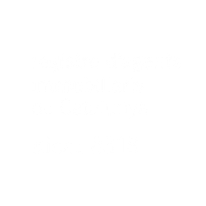registro de agentes inmobiliario